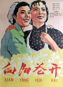 草久视频